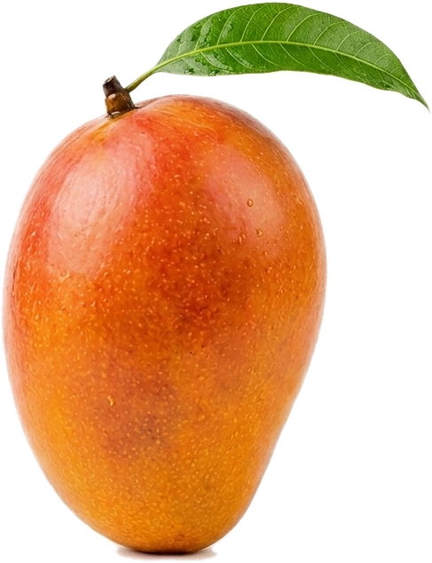 Mango — emblem of Mango Chutney
